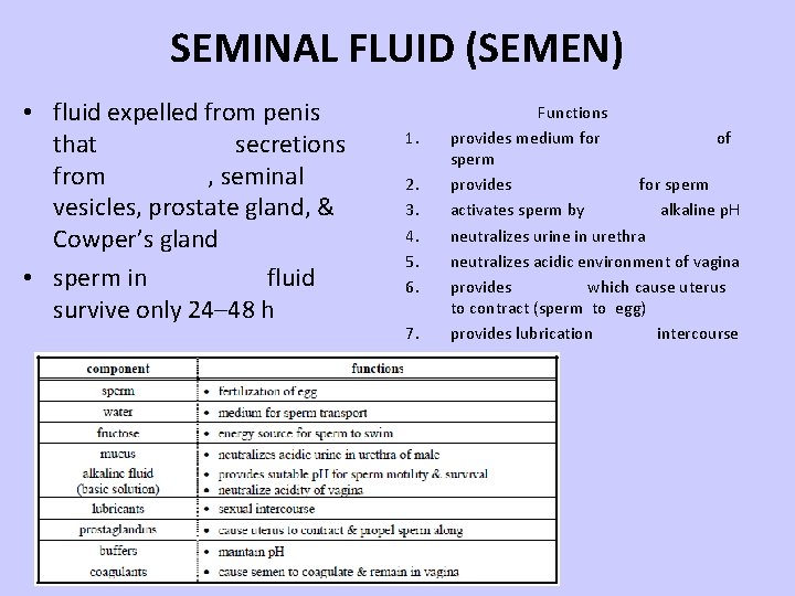 SEMINAL FLUID (SEMEN) • fluid expelled from penis that secretions from , seminal vesicles,