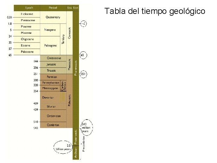 Tabla del tiempo geológico 