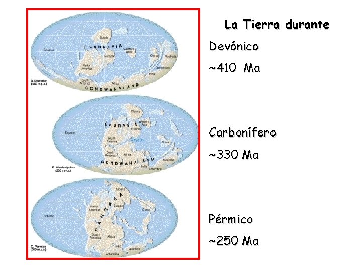 La Tierra durante Devónico ~410 Ma Carbonífero ~330 Ma Pérmico ~250 Ma 