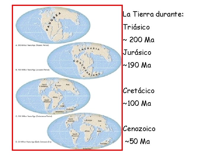La Tierra durante: Triásico ~ 200 Ma Jurásico ~190 Ma Cretácico ~100 Ma Cenozoico