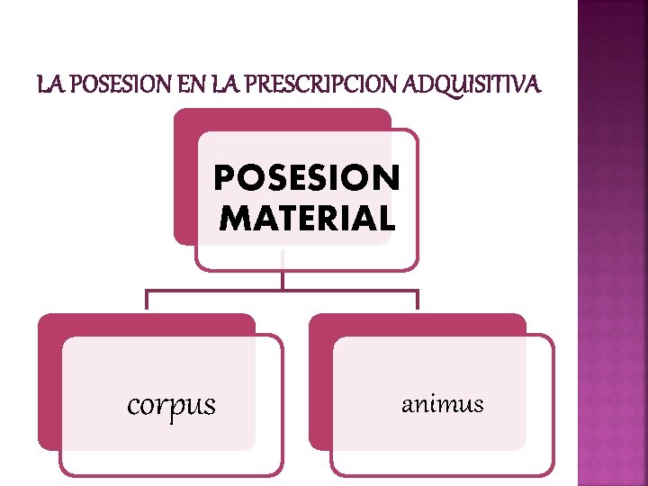 LA POSESION EN LA PRESCRIPCION ADQUISITIVA POSESION MATERIAL corpus animus 