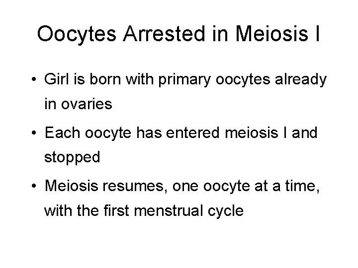 Oocytes Arrested in Meiosis I • Girl is born with primary oocytes already in