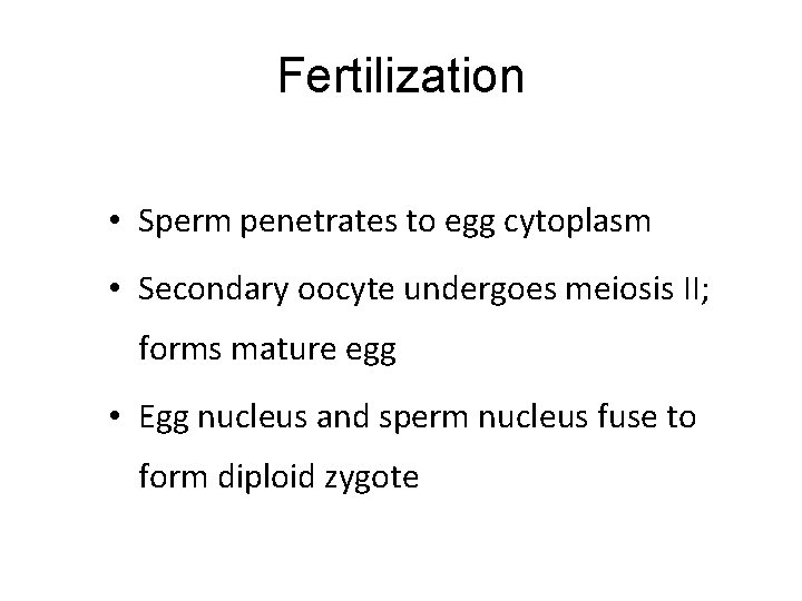 Fertilization • Sperm penetrates to egg cytoplasm • Secondary oocyte undergoes meiosis II; forms