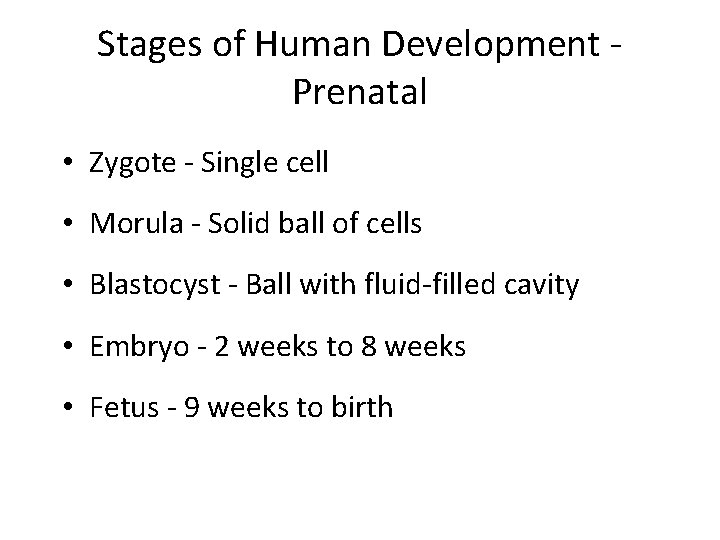 Stages of Human Development Prenatal • Zygote - Single cell • Morula - Solid