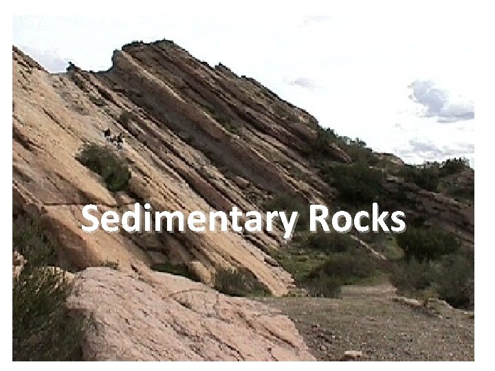 Sedimentary Rocks 