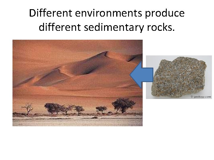 Different environments produce different sedimentary rocks. 
