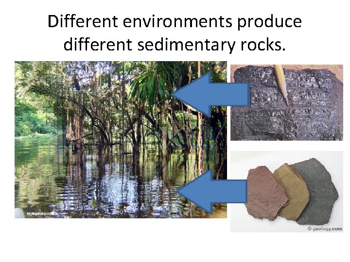 Different environments produce different sedimentary rocks. 