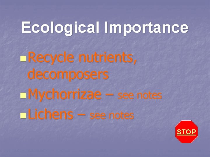 Ecological Importance n Recycle nutrients, decomposers n Mychorrizae – see notes n Lichens –