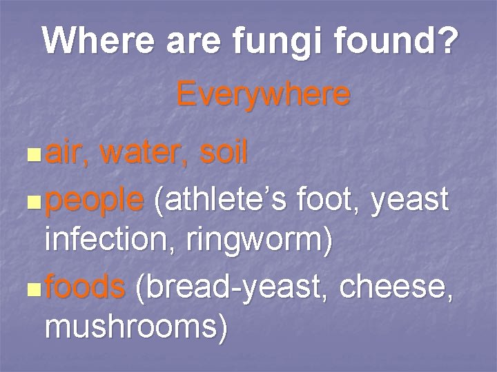 Where are fungi found? Everywhere n air, water, soil n people (athlete’s foot, yeast