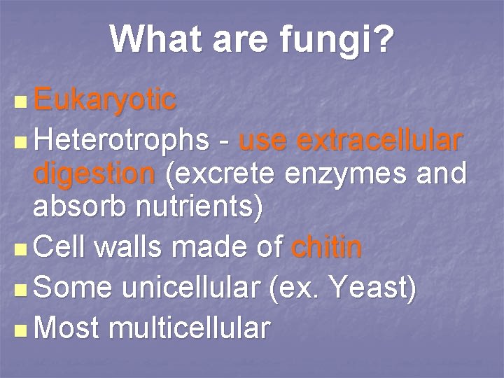 What are fungi? n Eukaryotic n Heterotrophs - use extracellular digestion (excrete enzymes and