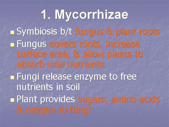 1. Mycorrhizae n Symbiosis b/t fungus & plant roots n Fungus covers roots, increase