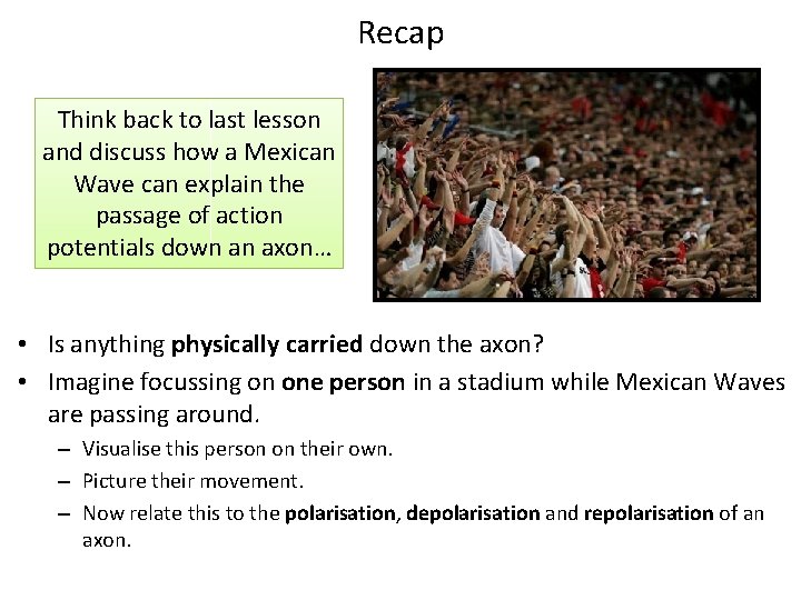 Recap Think back to last lesson and discuss how a Mexican Wave can explain