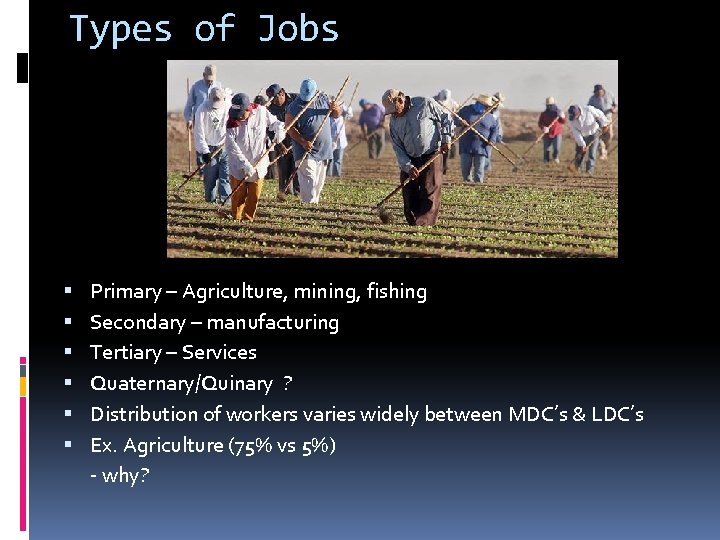 Types of Jobs Primary – Agriculture, mining, fishing Secondary – manufacturing Tertiary – Services