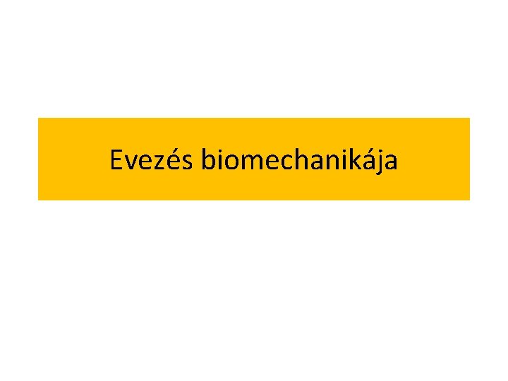 Evezés biomechanikája 