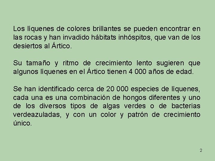 Los líquenes de colores brillantes se pueden encontrar en las rocas y han invadido