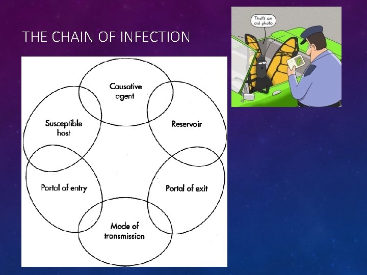 THE CHAIN OF INFECTION 