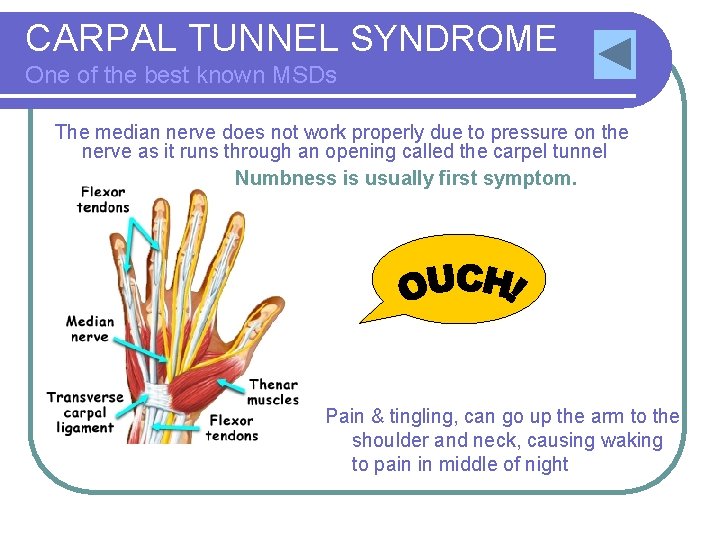 CARPAL TUNNEL SYNDROME One of the best known MSDs The median nerve does not