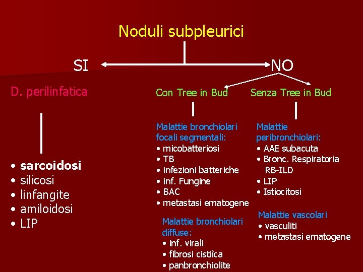 Noduli subpleurici SI D. perilinfatica • sarcoidosi • silicosi • linfangite • amiloidosi •