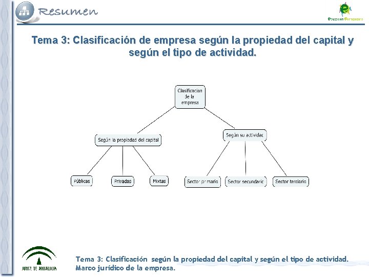 Tema 3: Clasificación de empresa según la propiedad del capital y según el tipo