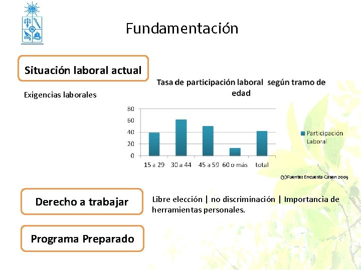 Fundamentación Situación laboral actual Exigencias laborales (3)Fuente: Encuesta Casen 2009 Derecho a trabajar Programa