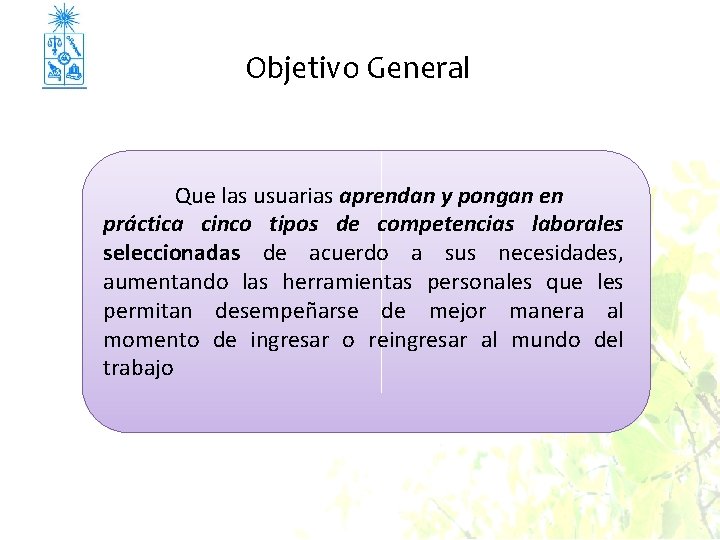 Objetivo General Que las usuarias aprendan y pongan en práctica cinco tipos de competencias