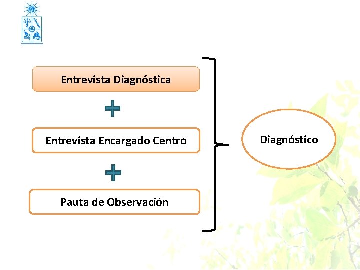 Entrevista Diagnóstica Entrevista Encargado Centro Pauta de Observación Diagnóstico 