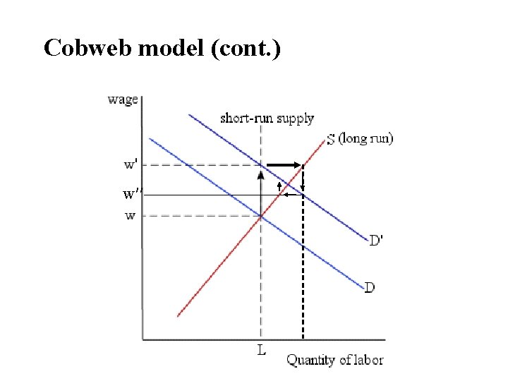 Cobweb model (cont. ) w′′ Cobweb model (cont. ) w′′
