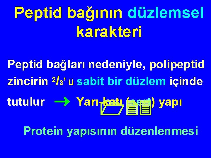 Peptid bağının düzlemsel karakteri Peptid bağları nedeniyle, polipeptid zincirin 2/3’ ü sabit bir düzlem