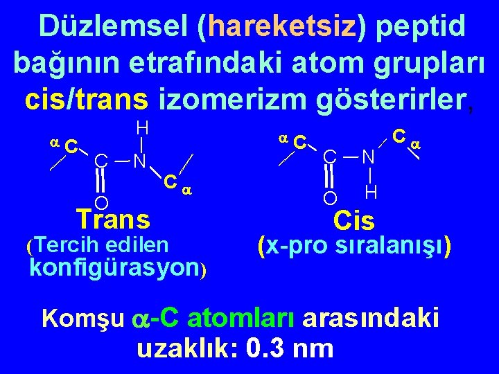  Düzlemsel (hareketsiz) peptid bağının etrafındaki atom grupları cis/trans izomerizm gösterirler, C H C