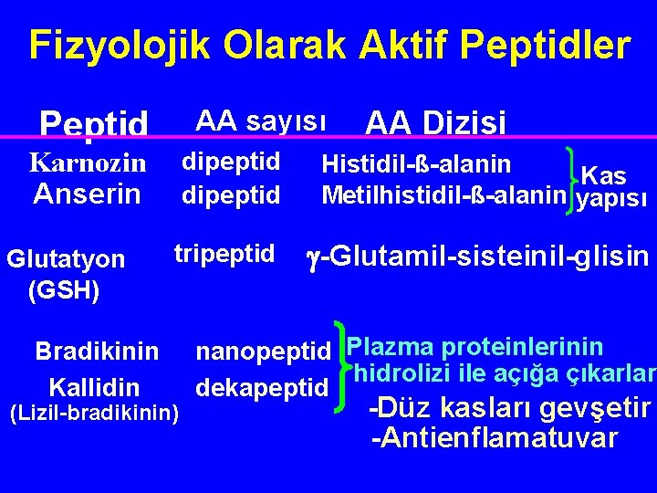 Fizyolojik Olarak Aktif Peptidler Peptid Karnozin Anserin Glutatyon (GSH) AA sayısı AA Dizisi dipeptid