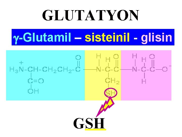 GLUTATYON -Glutamil – sisteinil - glisin GSH 