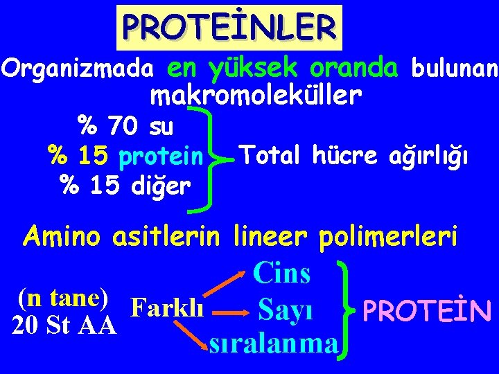 PROTEİNLER Organizmada en yüksek oranda bulunan makromoleküller % 70 su % 15 protein %