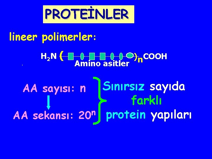 PROTEİNLER lineer polimerler: . H 2 N ( Amino asitler )n. COOH Sınırsız sayıda