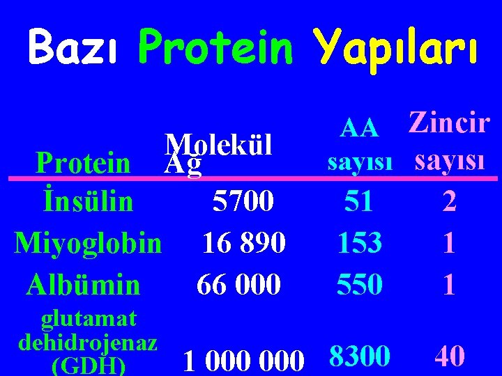 Bazı Protein Yapıları Molekül Protein Ağ İnsülin 5700 Miyoglobin 16 890 Albümin 66 000