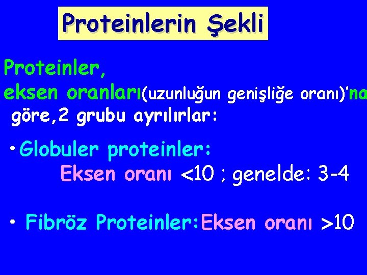 Proteinlerin Şekli Proteinler, eksen oranları(uzunluğun göre, 2 grubu ayrılırlar: genişliğe oranı)’na • Globuler proteinler: