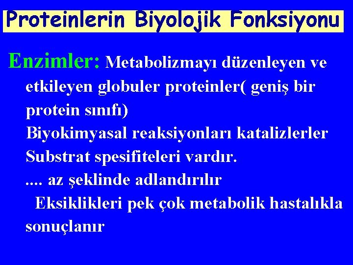 Proteinlerin Biyolojik Fonksiyonu Enzimler: Metabolizmayı düzenleyen ve etkileyen globuler proteinler( geniş bir protein sınıfı)