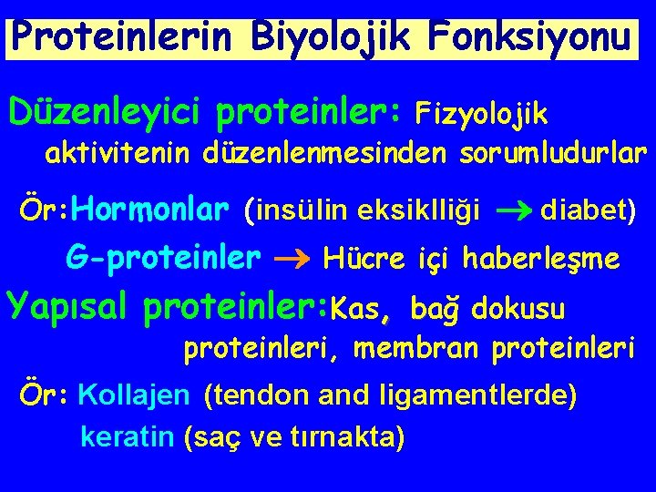 Proteinlerin Biyolojik Fonksiyonu Düzenleyici proteinler: Fizyolojik aktivitenin düzenlenmesinden sorumludurlar Ör: Hormonlar (insülin eksiklliği diabet)