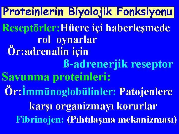 Proteinlerin Biyolojik Fonksiyonu Reseptörler: Hücre içi haberleşmede rol oynarlar Ör: adrenalin için ß-adrenerjik reseptor