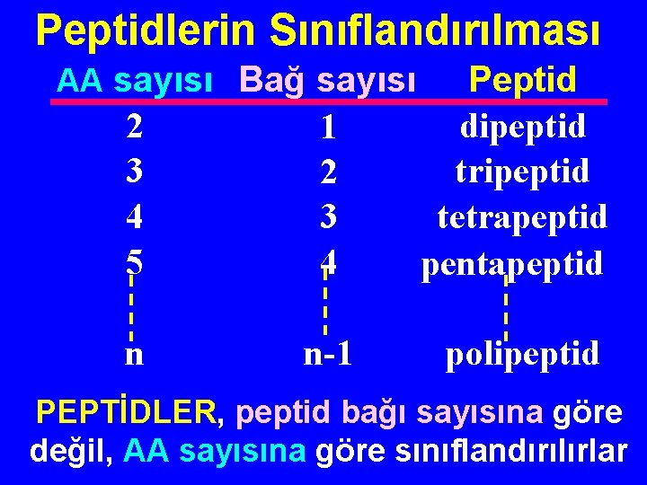 Peptidlerin Sınıflandırılması AA sayısı Bağ sayısı 2 3 4 5 1 2 3 4