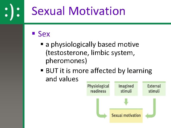 Sexual Motivation § Sex § a physiologically based motive (testosterone, limbic system, pheromones) §