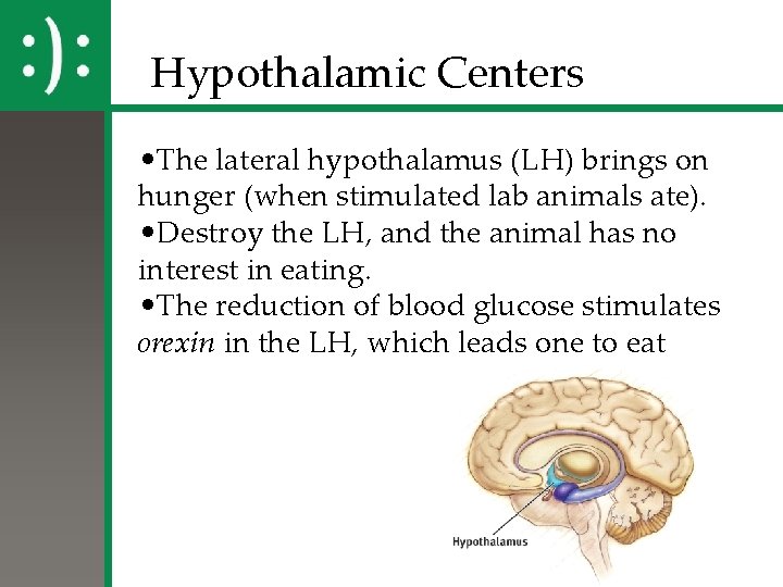 Hypothalamic Centers • The lateral hypothalamus (LH) brings on hunger (when stimulated lab animals