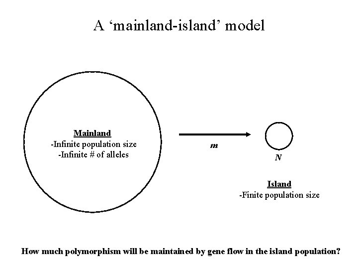 A ‘mainland-island’ model Mainland -Infinite population size -Infinite # of alleles m N Island