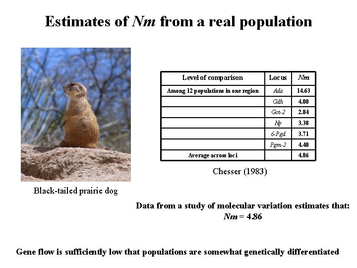 Estimates of Nm from a real population Level of comparison Locus Nm Among 12