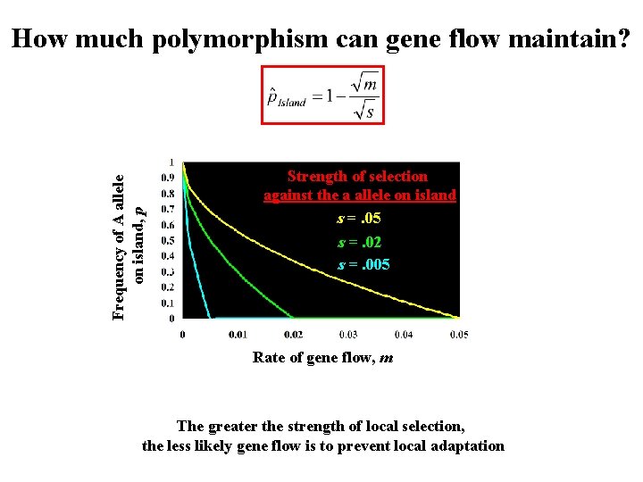 Frequency of A allele on island, p How much polymorphism can gene flow maintain?