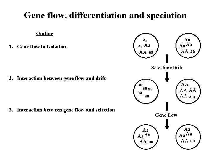 Gene flow, differentiation and speciation Outline 1. Gene flow in isolation Aa Aa Aa