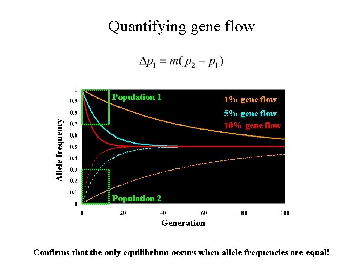 Quantifying gene flow Population 1 1% gene flow Allele frequency 5% gene flow 10%