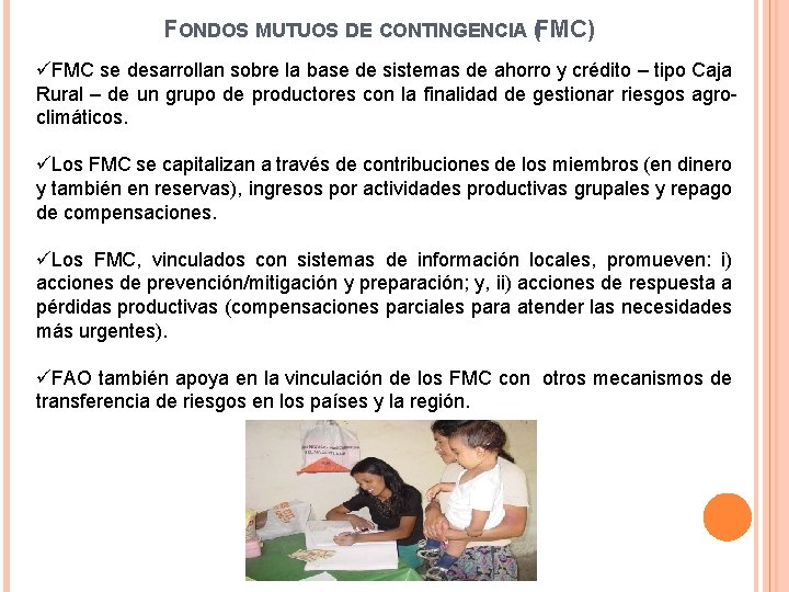 FONDOS MUTUOS DE CONTINGENCIA (FMC) üFMC se desarrollan sobre la base de sistemas de