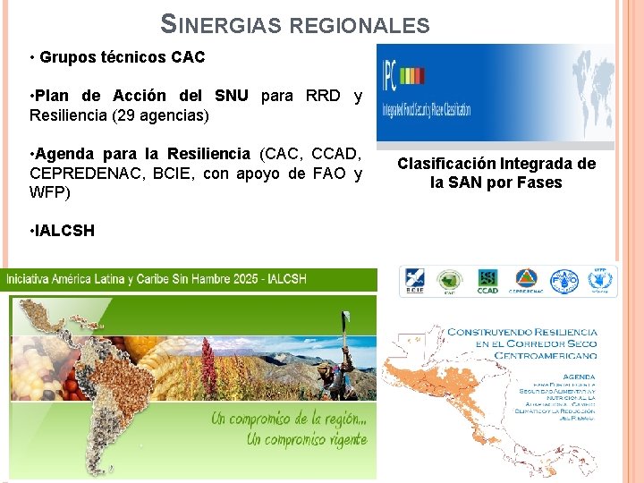SINERGIAS REGIONALES • Grupos técnicos CAC • Plan de Acción del SNU para RRD