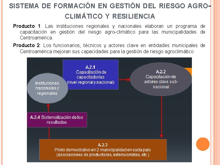 SISTEMA DE FORMACIÓN EN GESTIÓN DEL RIESGO AGROCLIMÁTICO Y RESILIENCIA Producto 1: Las instituciones