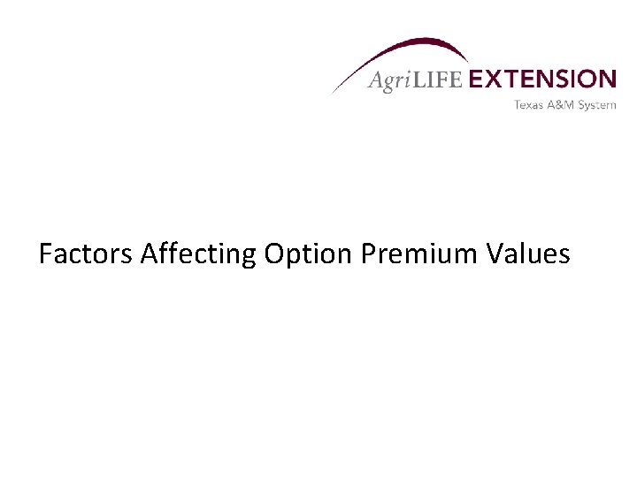 Factors Affecting Option Premium Values 